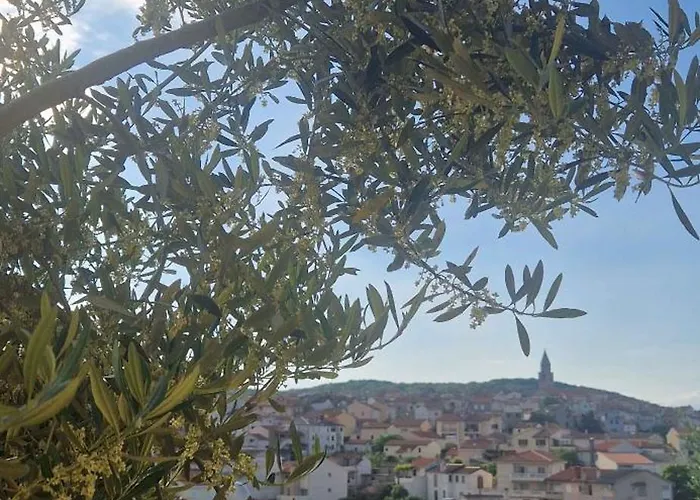 1 Vrbnik